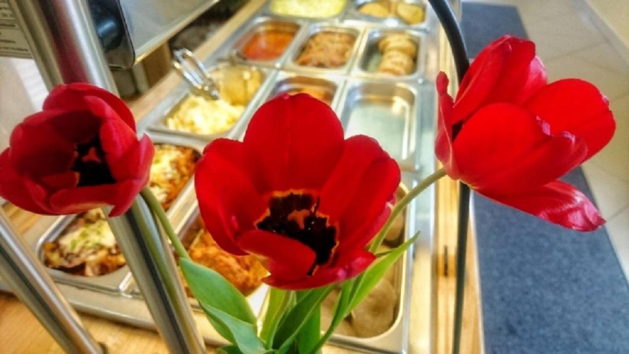 Serce 소쿠카 외부 사진